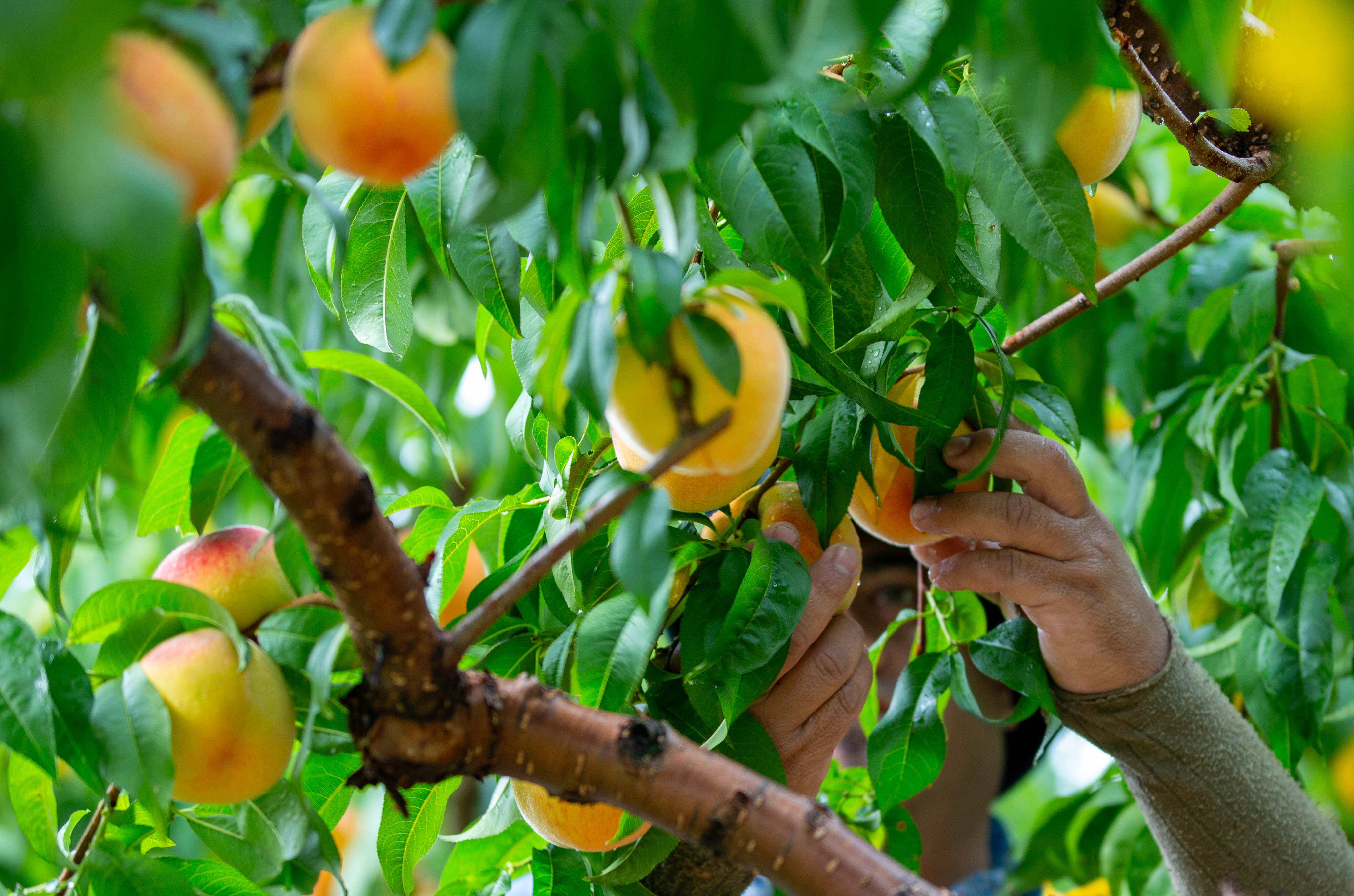 Feature Benefits Image